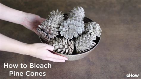 how to bleach pine cones